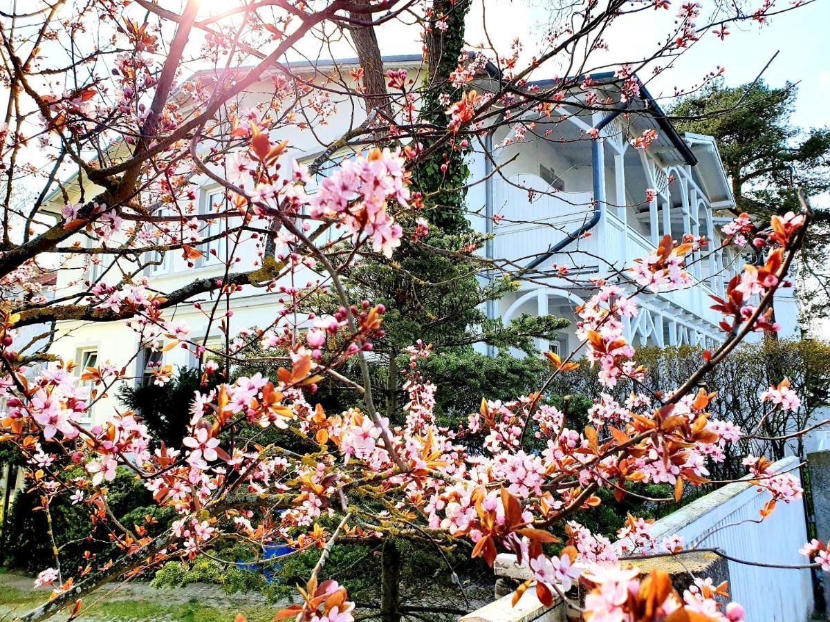 Villa Asta Binz Εξωτερικό φωτογραφία